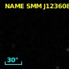 AzGN 24