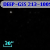 DEEP-GSS 213-1009