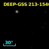 DEEP-GSS 213-1546