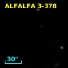 ALFALFA 3-378