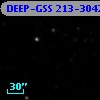 DEEP-GSS 213-3042