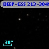 DEEP-GSS 213-3048