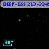DEEP-GSS 213-3349
