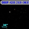 DEEP-GSS 213-3637