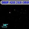 DEEP-GSS 213-3938