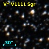 V* V1111 Sgr
