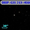 DEEP-GSS 213-4566
