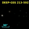 DEEP-GSS 213-5921