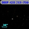 DEEP-GSS 213-7564