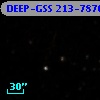 DEEP-GSS 213-7870