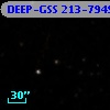 DEEP-GSS 213-7949