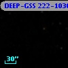 DEEP-GSS 222-1036