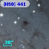 [H80] 441