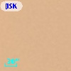 [ISK2007] 66