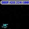 DEEP-GSS 224-1008