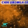 CXOU J102405.4-574703