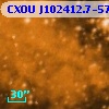 CXOU J102412.7-574621