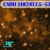 CXOU J102417.5-574905