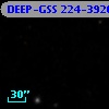 DEEP-GSS 224-3920