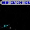 DEEP-GSS 224-4019