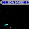 DEEP-GSS 224-4316