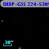 DEEP-GSS 224-5309
