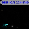 DEEP-GSS 224-5424