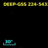 DEEP-GSS 224-5433
