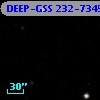 DEEP-GSS 232-7345
