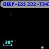 DEEP-GSS 232-7347