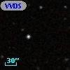 VVDS 220267678