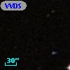 VVDS 220133794