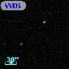 VVDS 220376198
