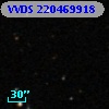 VVDS 220469918