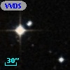 VVDS 220326578