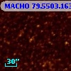 MACHO  79.5503.163