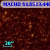 MACHO  81.8513.440