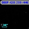 DEEP-GSS 233-4461