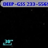 DEEP-GSS 233-5568