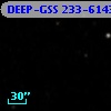 DEEP-GSS 233-6143