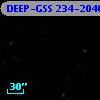 DEEP-GSS 234-2040