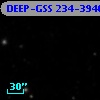 DEEP-GSS 234-3940