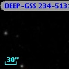 DEEP-GSS 234-5131