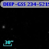 DEEP-GSS 234-5219