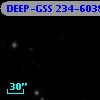 DEEP-GSS 234-6038
