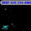 DEEP-GSS 234-6066