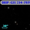 DEEP-GSS 234-7978