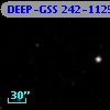 DEEP-GSS 242-1125