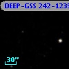 DEEP-GSS 242-1235