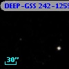 DEEP-GSS 242-1255